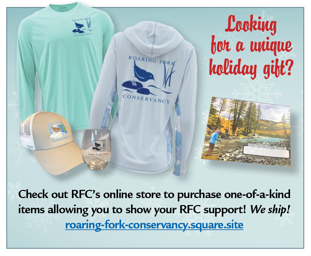 2020_RFC_schwag_ad.jpg