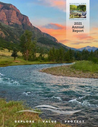 2021-annual-report-front-cover.jpg