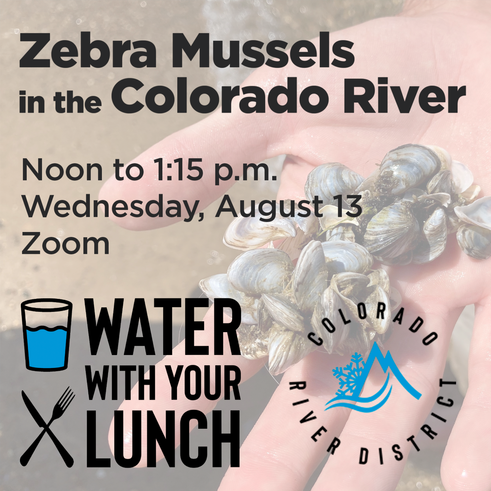 2025%20Zebra%20Mussels%20lunch%20and%20learn.png