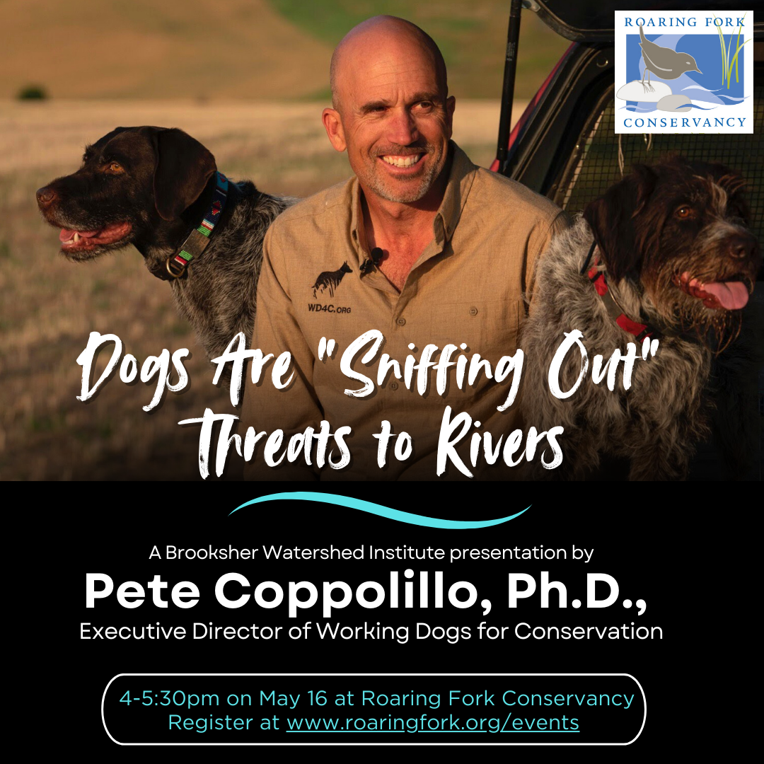 Dogs%20are%20sniffing%20out%20threats%20to%20rivers%20BWI%20(1).png