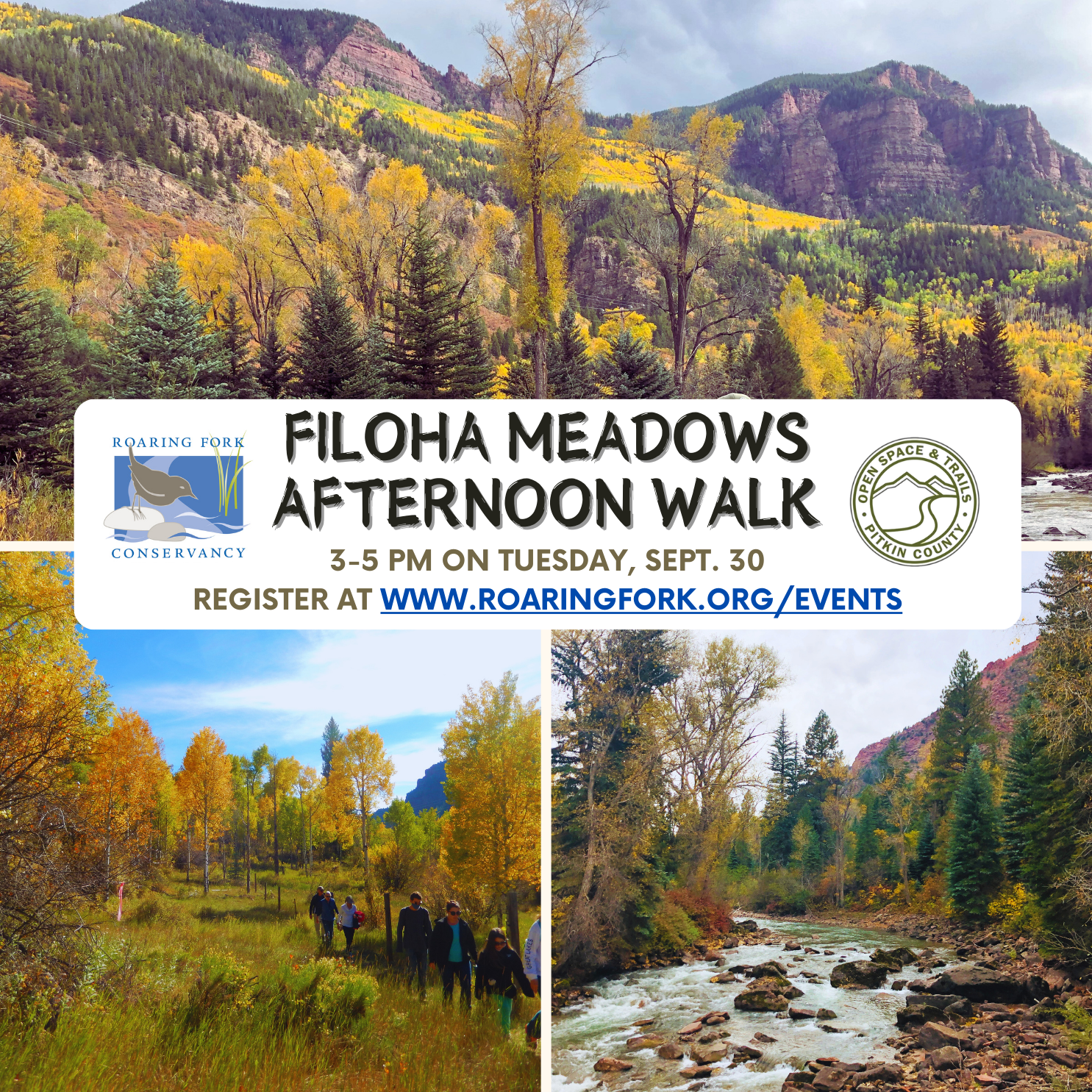 Filoha%20afternoon%20walk%20(2).png