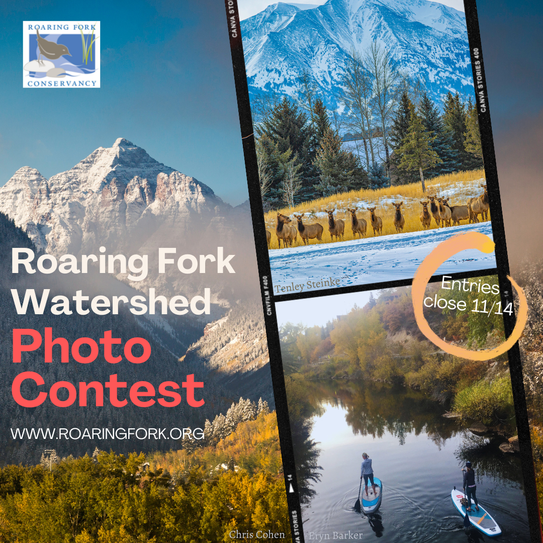 Photo%20Contest%20photo.png
