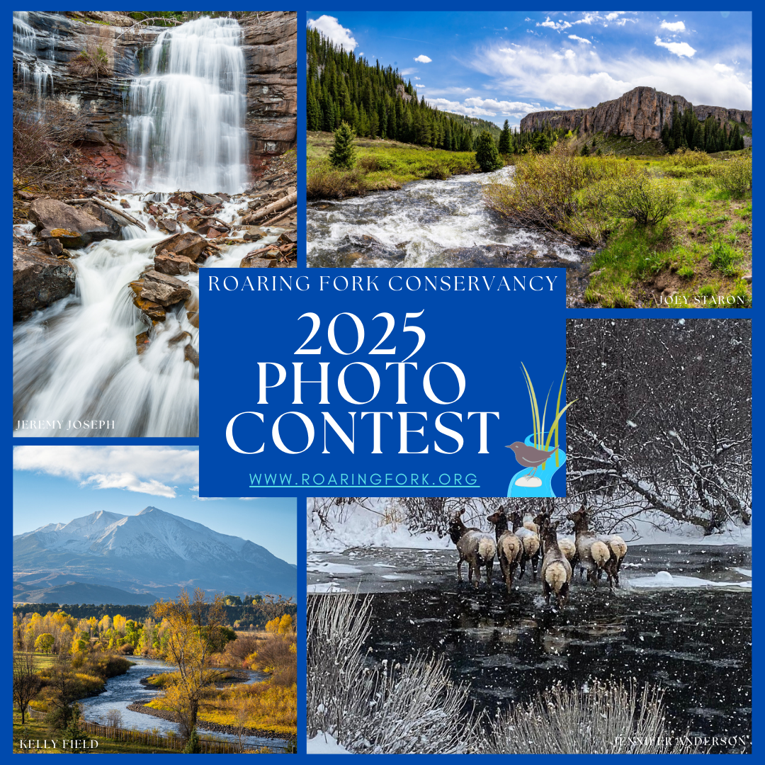 photo%20contest%20(3).png